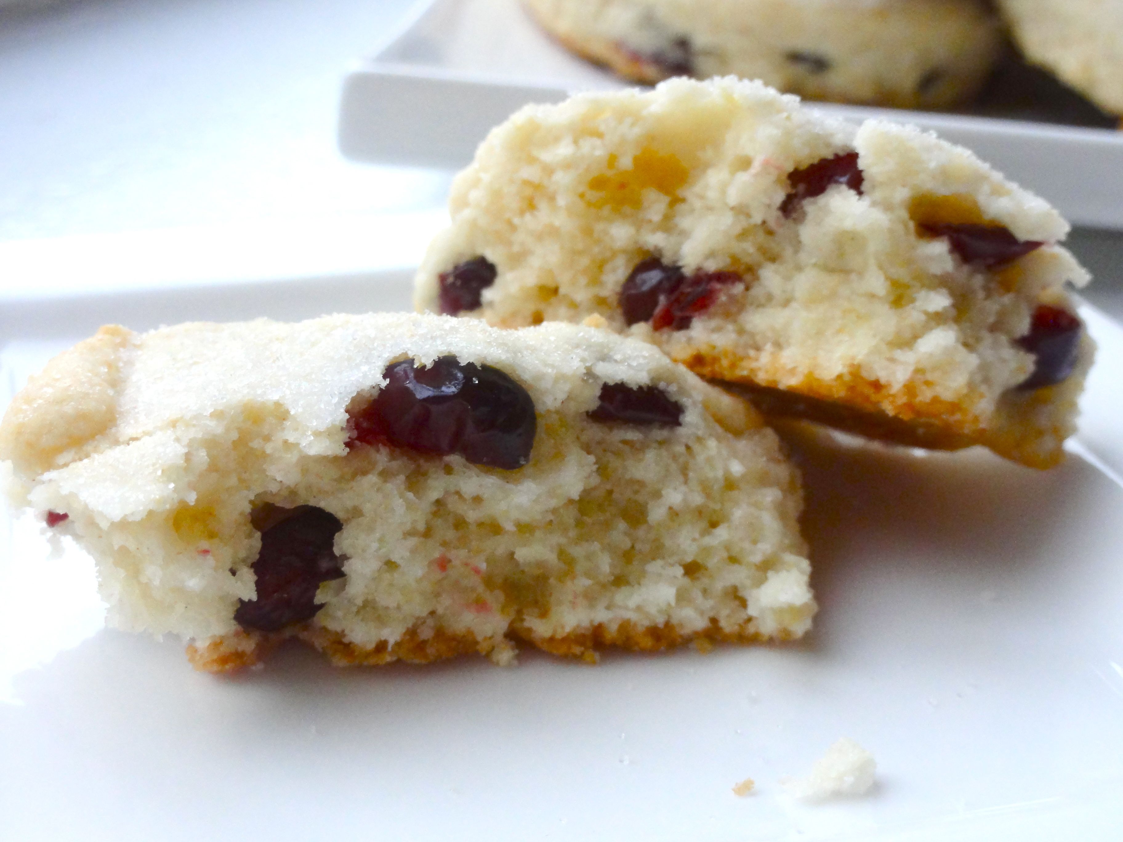 dried cranberry scones